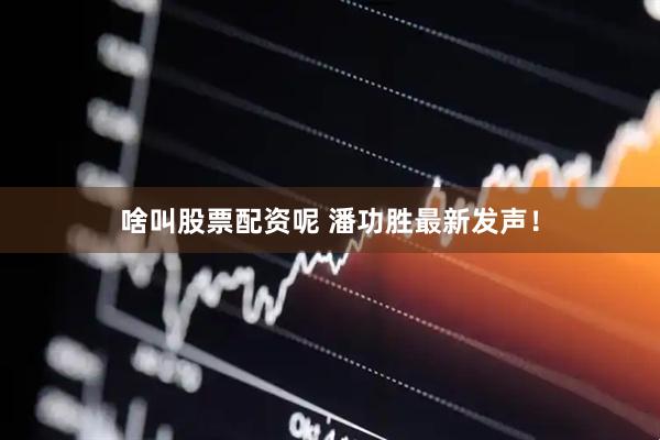 啥叫股票配资呢 潘功胜最新发声！