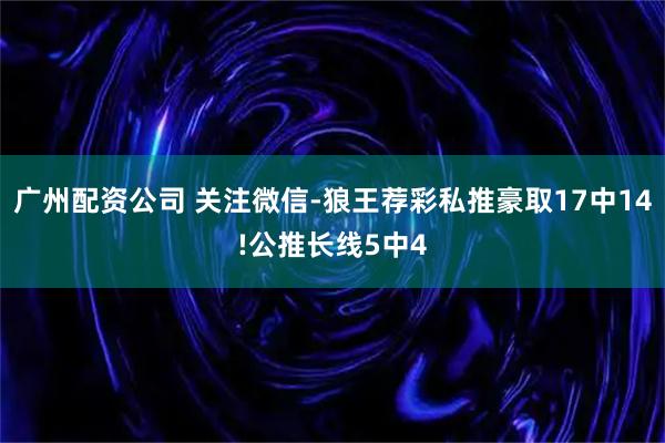 广州配资公司 关注微信-狼王荐彩私推豪取17中14!公推长线5中4